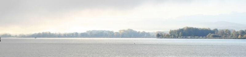 Imagen banner eutanasia