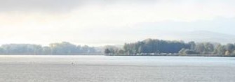 Imagen banner eutanasia